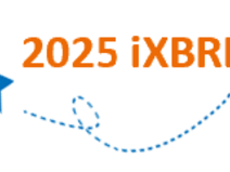 Deelnemers Proefjaar iXBRL 2025